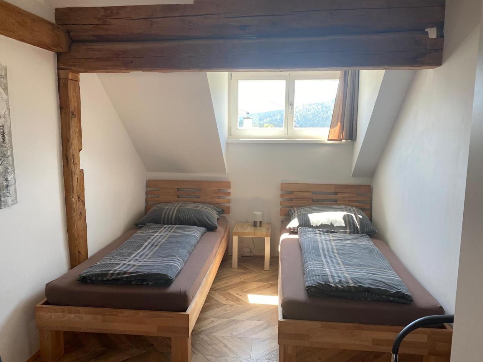 Haus Kampl - Appartement Aussee 巴德米滕多夫 外观 照片